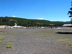 IMG_8004.jpg