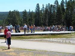 IMG_8009.jpg