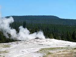 IMG_8012.jpg