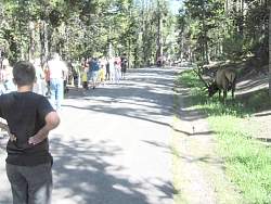 IMG_8145.jpg