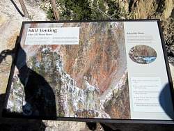 IMG_8157.jpg