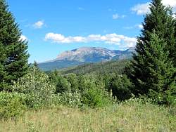 IMG_8243.jpg