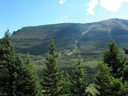 IMG_8246.jpg