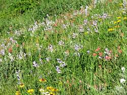 IMG_8369.jpg