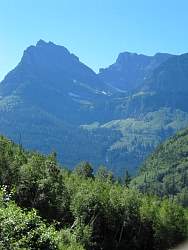 IMG_8390.jpg