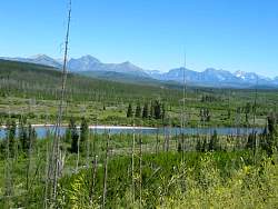 IMG_8419.jpg