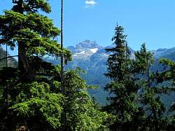 IMG_8435.jpg