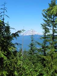 IMG_8437.jpg