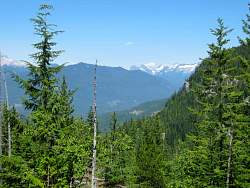 IMG_8439.jpg