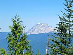 IMG_8440.jpg
