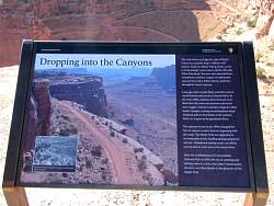 IMG_9135.jpg
