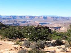 IMG_9146.jpg