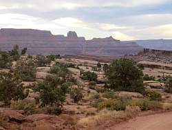 IMG_9252.jpg