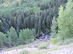 IMG_0141.jpg
