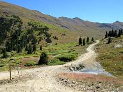 IMG_0410.jpg