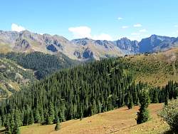 IMG_0446.jpg