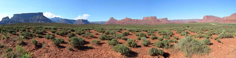 IMG_3192_stitch.jpg