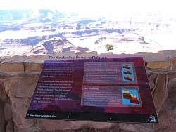 IMG_3145.jpg
