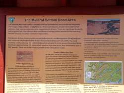 IMG_3156.jpg