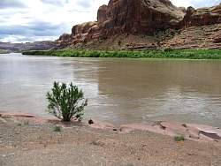 IMG_3187.jpg