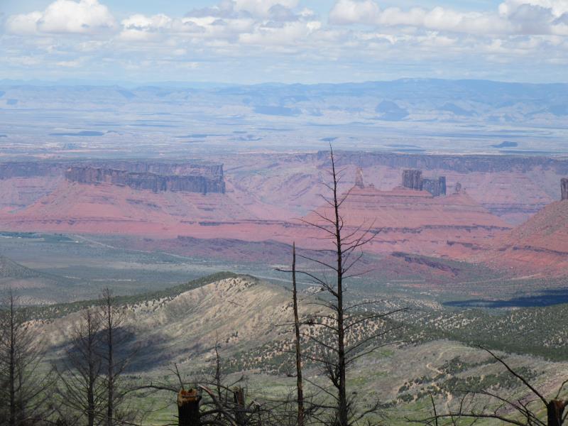 IMG_3278.jpg