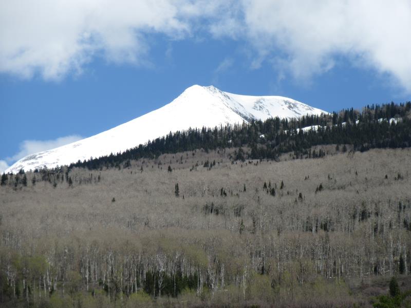 IMG_3323.jpg