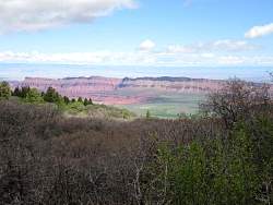 IMG_3240.jpg