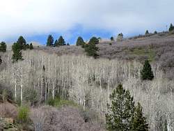 IMG_3244.jpg