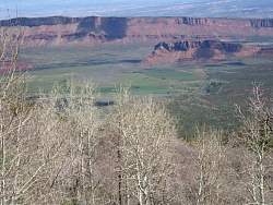 IMG_3246.jpg