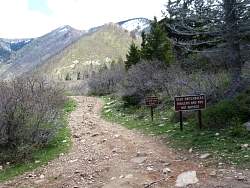 IMG_3272.jpg