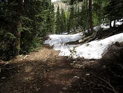 IMG_3273.jpg
