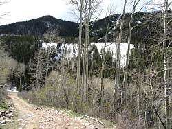 IMG_3274.jpg