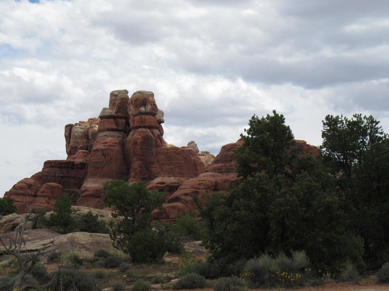 IMG_3426.jpg