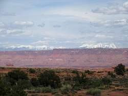 IMG_3460.jpg