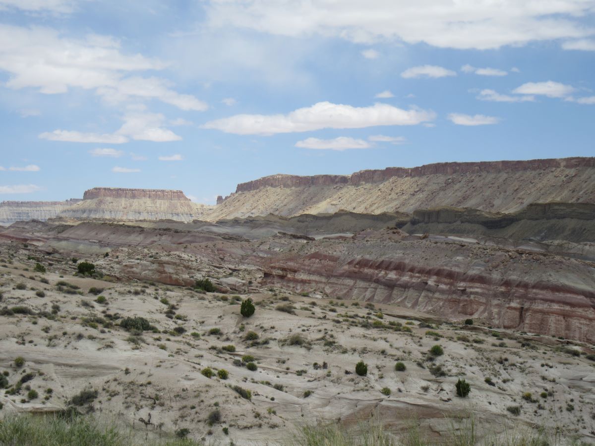 IMG_3562.jpg