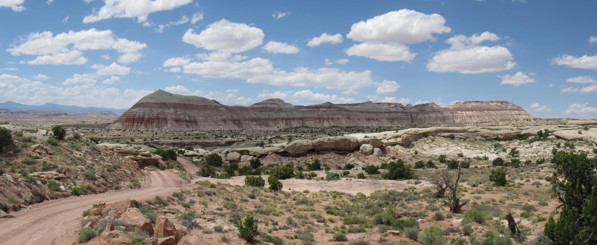 IMG_3591_stitch.jpg