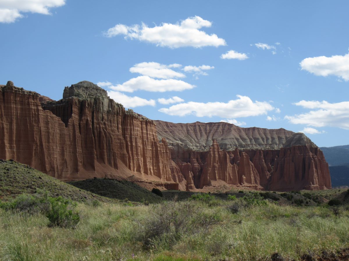 IMG_3666.jpg
