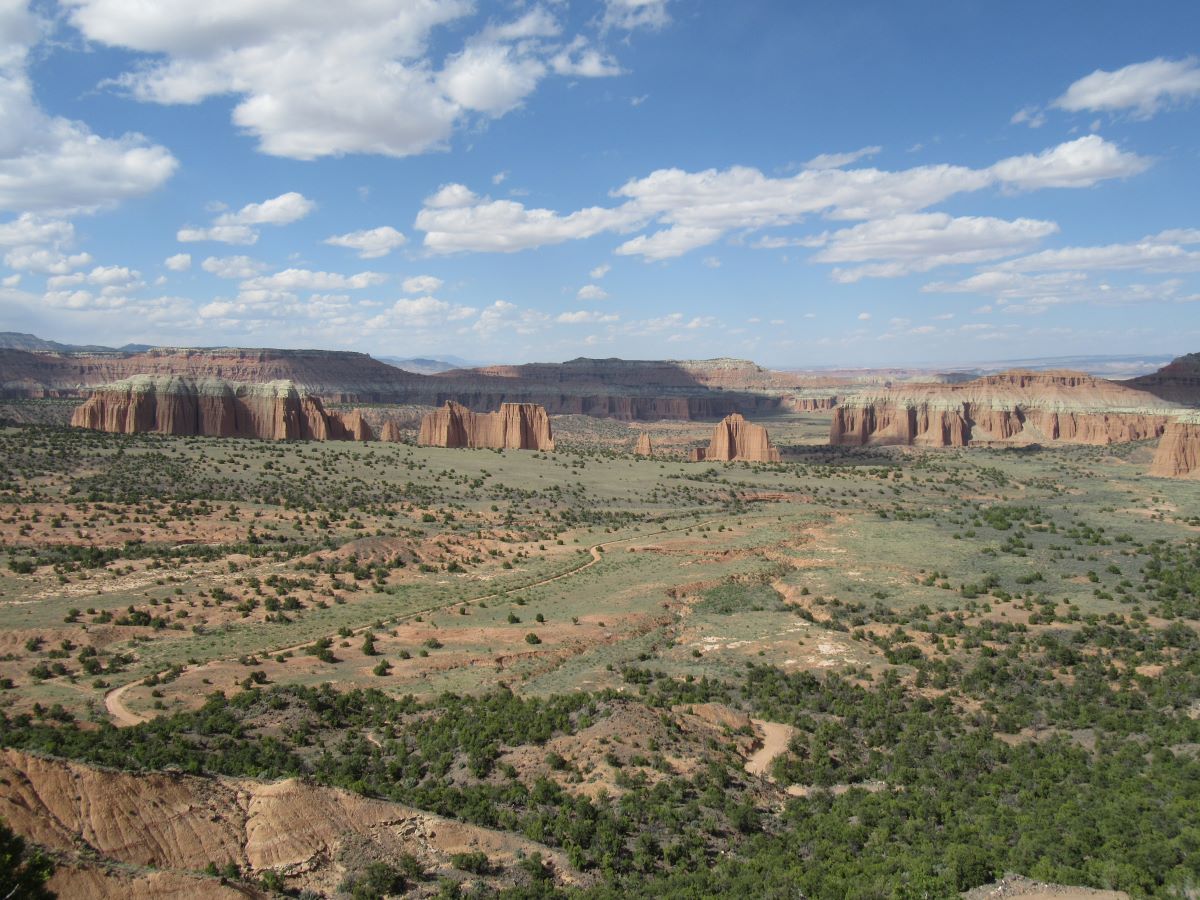 IMG_3680.jpg