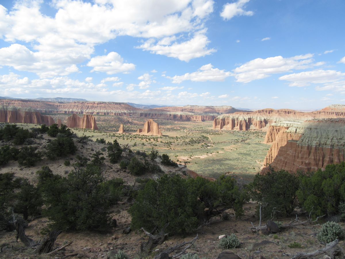 IMG_3681.jpg