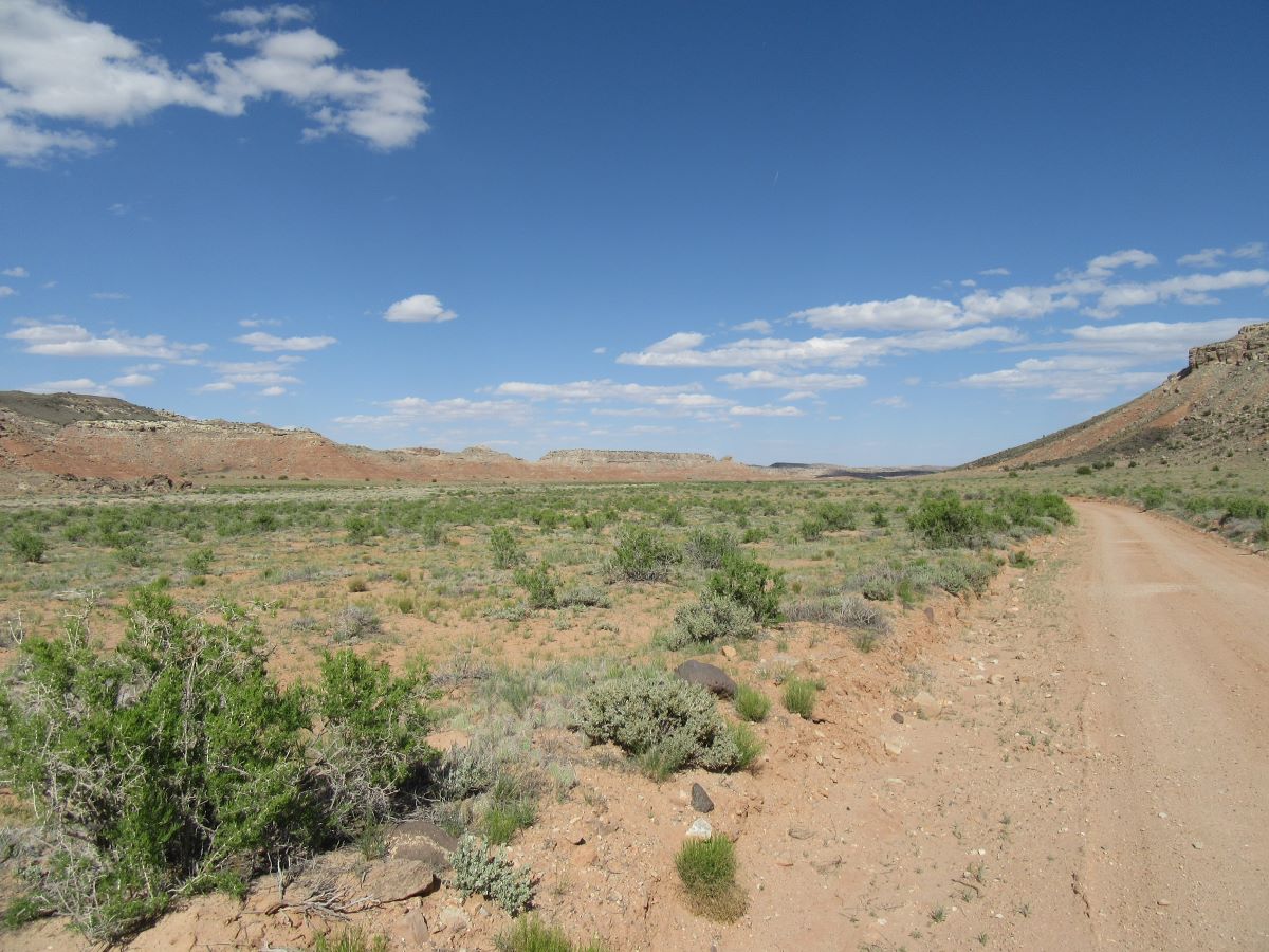 IMG_3690.jpg