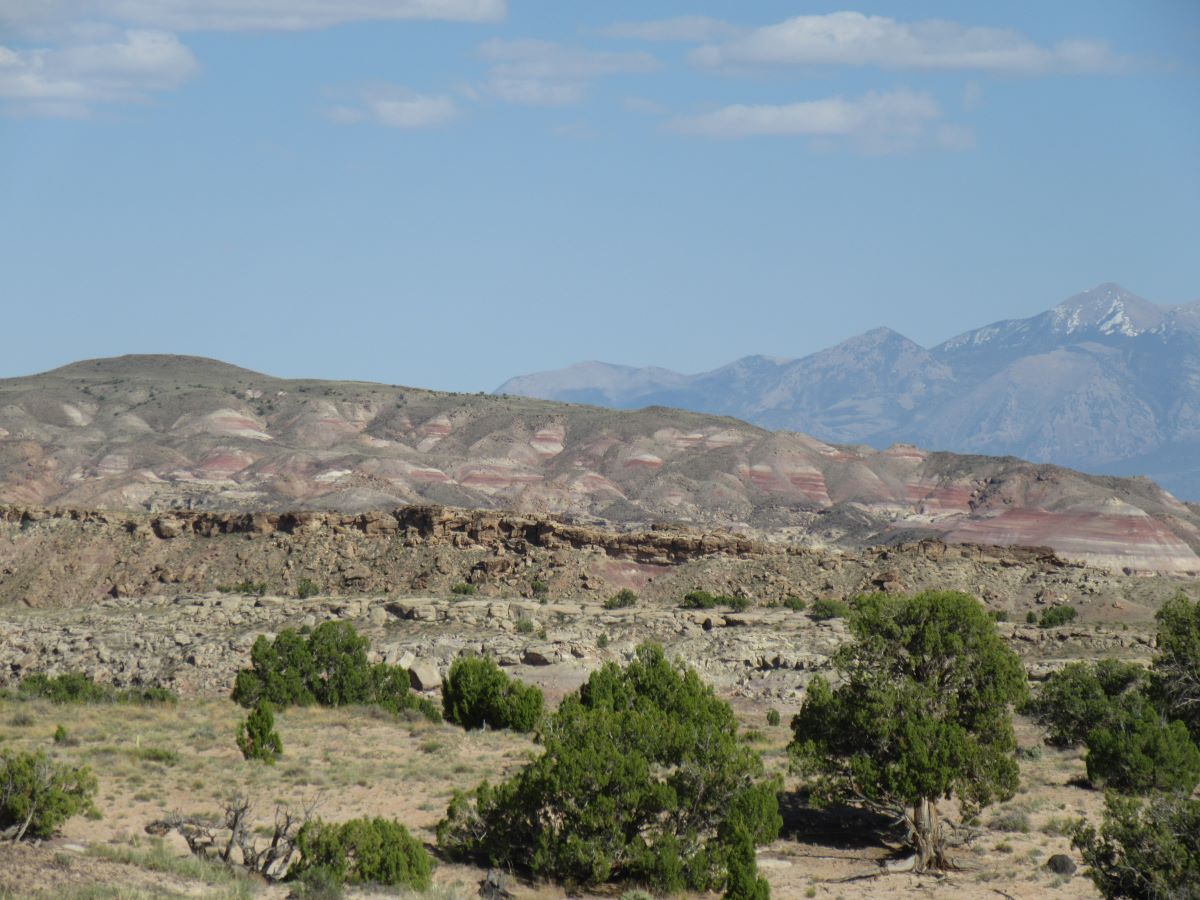 IMG_3696.jpg