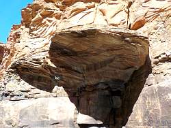 DSCN0241.jpg