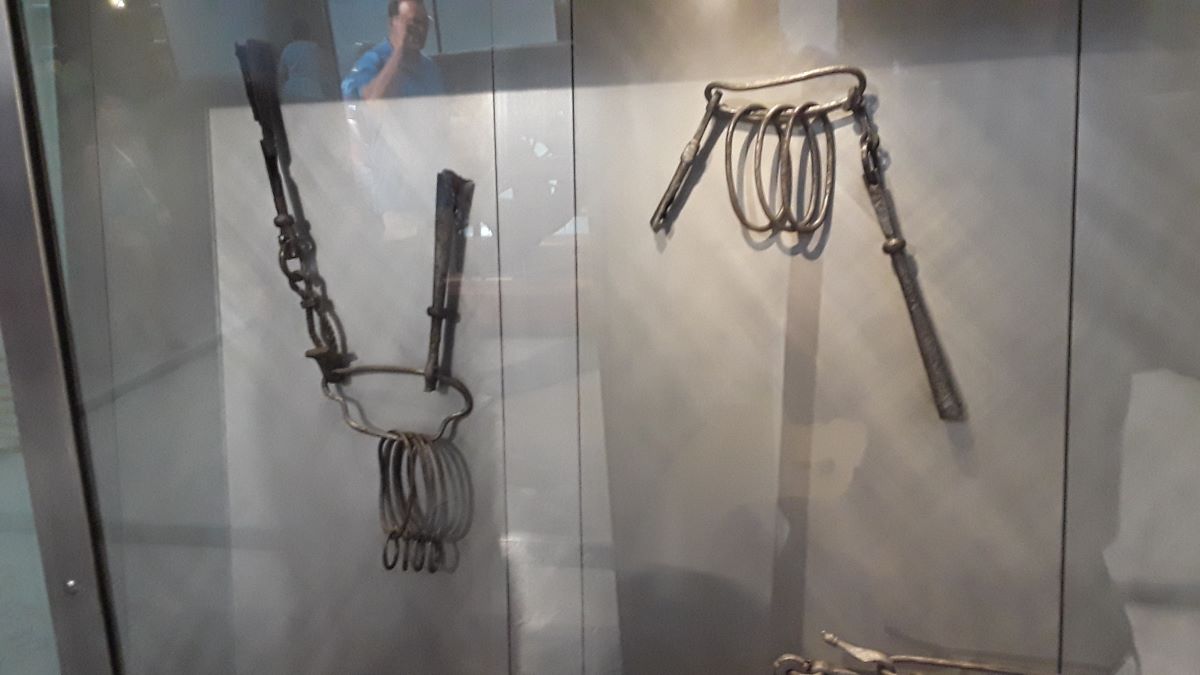 20180713_122322.jpg