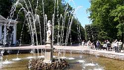 20180717_120231.jpg