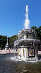 20180717_123942.jpg
