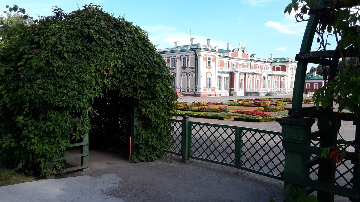 20180719_092143.jpg