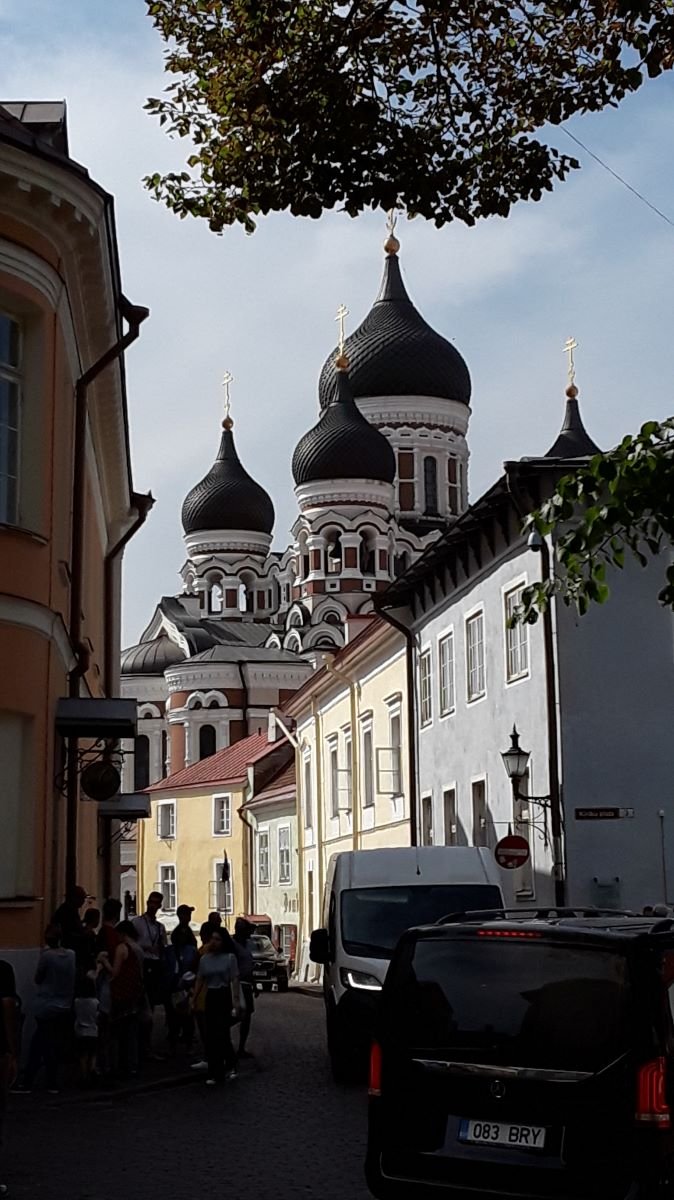 20180719_105011.jpg