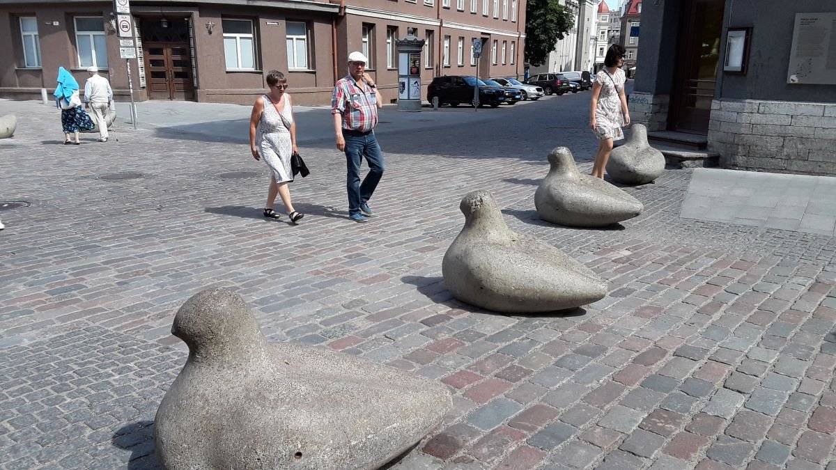 20180719_133007.jpg