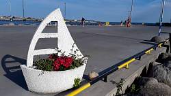 20180719_081927.jpg