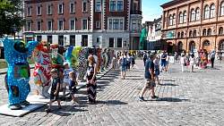 20180720_142822.jpg